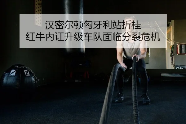 han-mi-er-dun-xiong-ya-li-zhan-zhe-gui-hong-niu-nei-hong-sheng-ji-che-dui-mian-lin-fen-lie-wei-ji-2-908.jpg